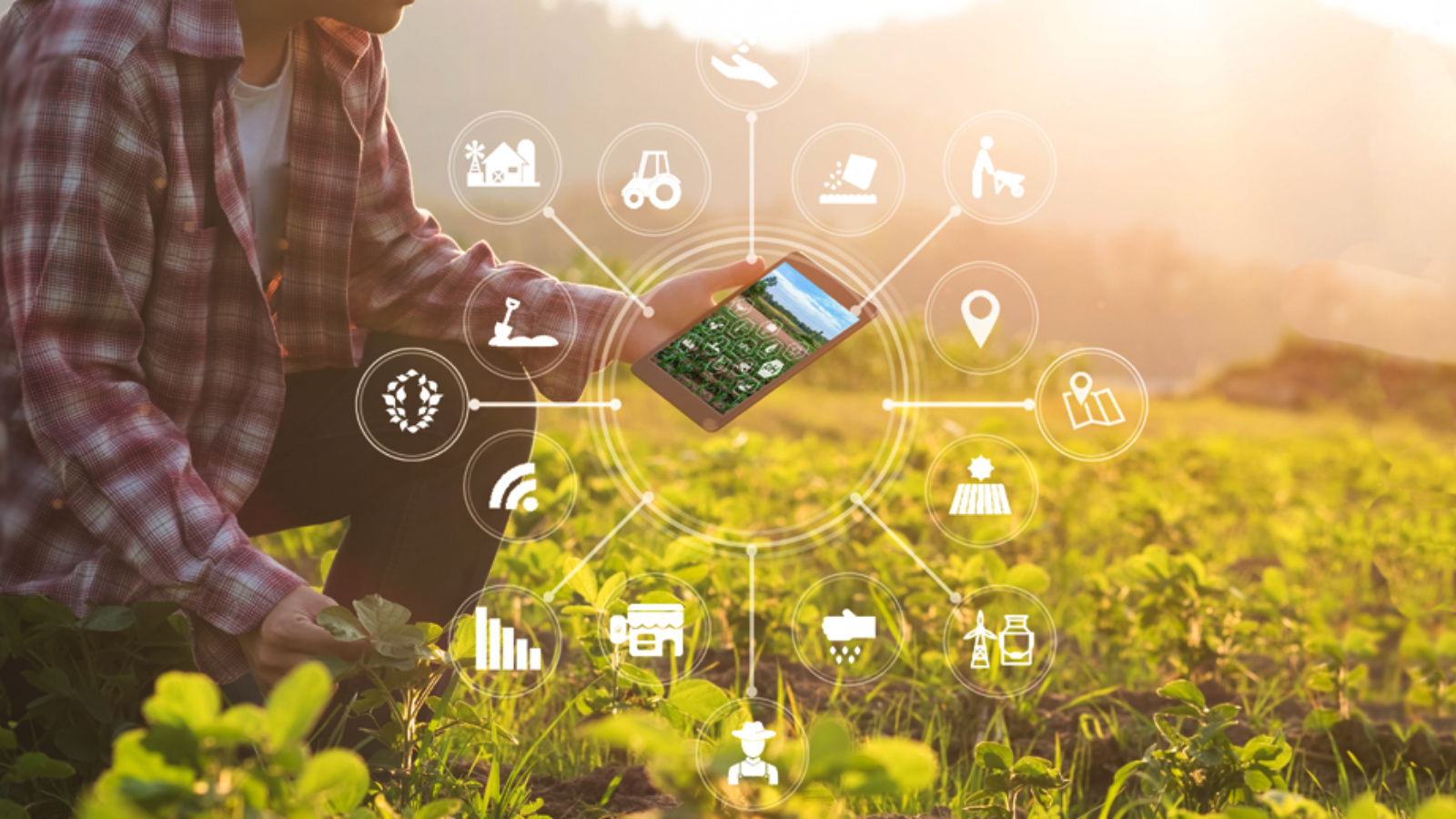 Smart Farming Solutions with ERP Systems: Transforming Agriculture in Africa