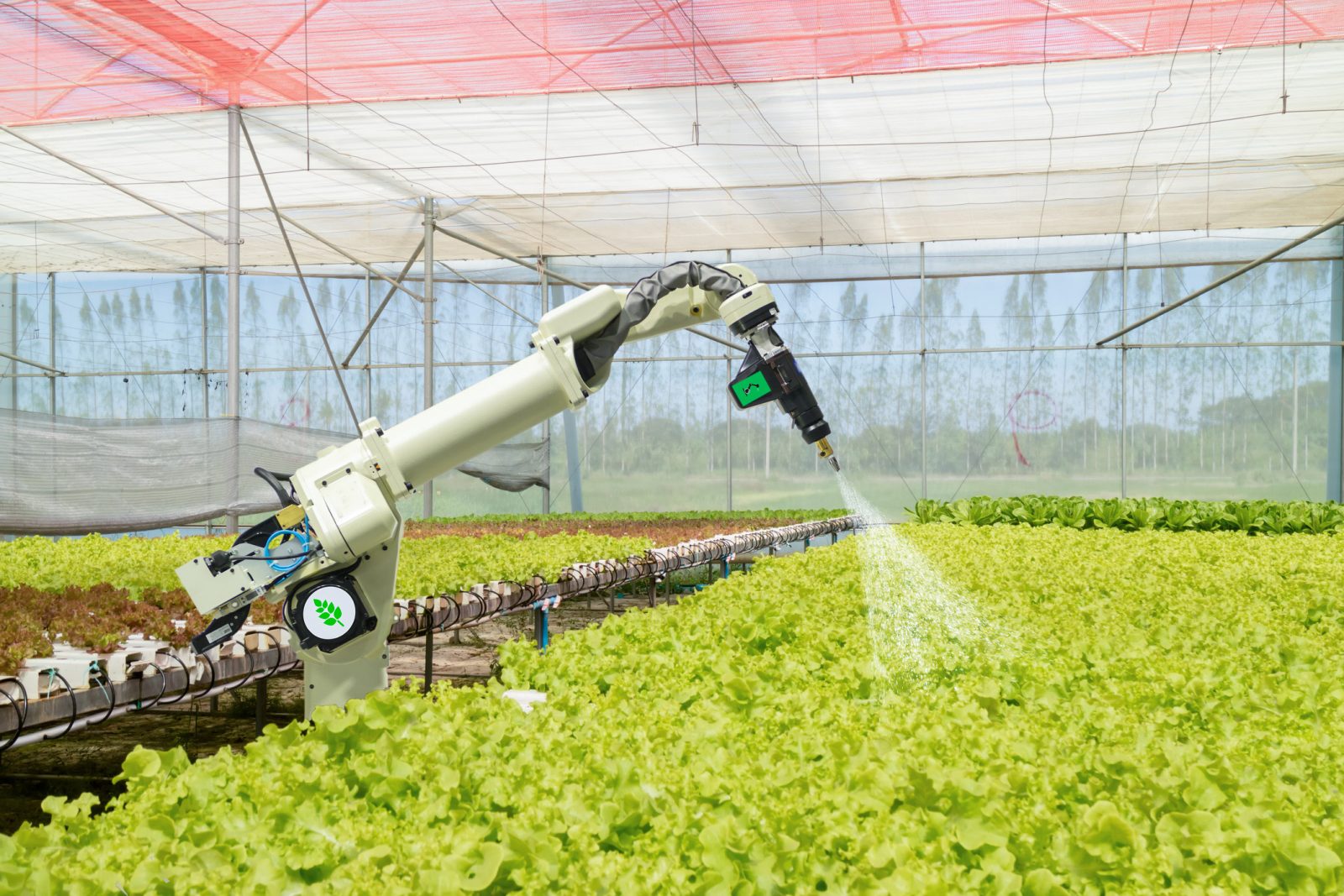 The Future of Agri-Tech Investment in South Africa